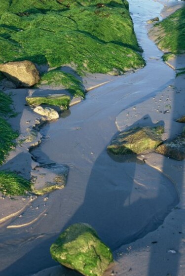 Photographie intitulée "Marée basse" par Catherine Boutin, Œuvre d'art originale