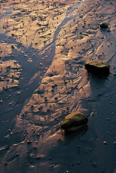 Photographie intitulée "Marée basse" par Catherine Boutin, Œuvre d'art originale