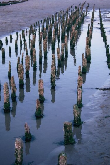 Photographie intitulée "Pieux à marée basse" par Catherine Boutin, Œuvre d'art originale