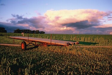 Photographie intitulée "Beauce. Champs, le…" par Catherine Boutin, Œuvre d'art originale