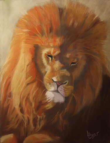 "Le lion" başlıklı Tablo Catherine Costet (Lccat) tarafından, Orijinal sanat, Pastel