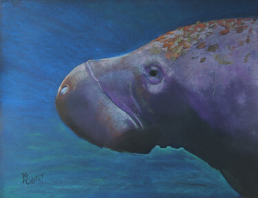 Painting titled "Le lamantin" by Catherine Costet (Lccat), Original Artwork, Pastel
