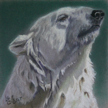 Painting titled "L' ours blanc" by Catherine Costet (Lccat), Original Artwork, Pastel