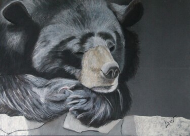 Peinture intitulée "La sieste de l'ours…" par Catherine Costet (Lccat), Œuvre d'art originale, Pastel