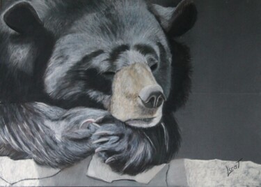 Painting titled "La sieste de l'ours…" by Catherine Costet (Lccat), Original Artwork, Pastel