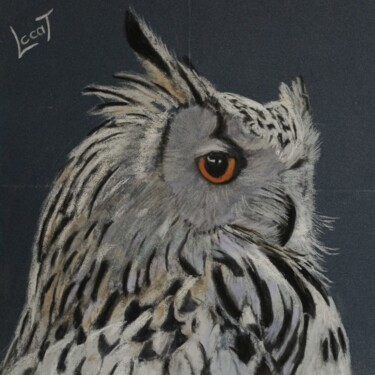 Malerei mit dem Titel "Le hibou 2" von Catherine Costet (Lccat), Original-Kunstwerk, Pastell