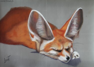 Painting titled "Le fennec" by Catherine Costet (Lccat), Original Artwork, Pastel