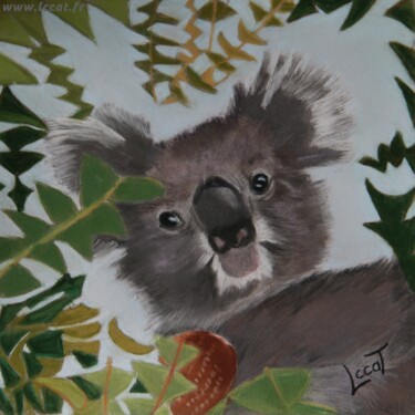 Peinture intitulée "Koala" par Catherine Costet (Lccat), Œuvre d'art originale, Pastel