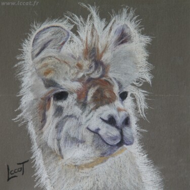 Painting titled "Le lama" by Catherine Costet (Lccat), Original Artwork, Pastel