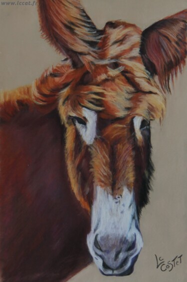Painting titled "Cadichon" by Catherine Costet (Lccat), Original Artwork, Pastel