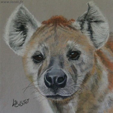 Schilderij getiteld "La hyène" door Catherine Costet (Lccat), Origineel Kunstwerk, Pastel