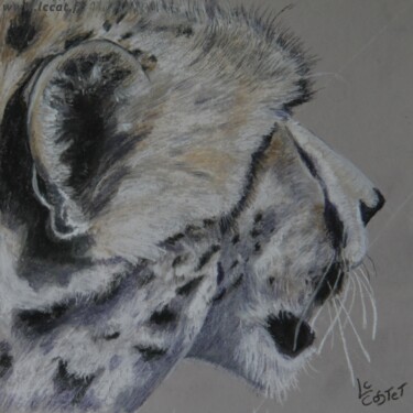 Peinture intitulée "Le guépard" par Catherine Costet (Lccat), Œuvre d'art originale, Pastel