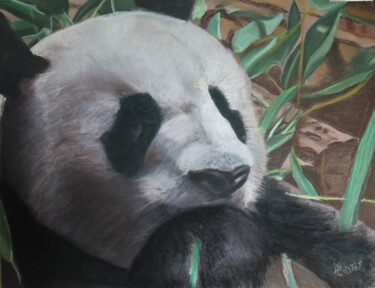 Pittura intitolato "Le panda" da Catherine Costet (Lccat), Opera d'arte originale, Pastello