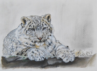 Painting titled "leo-pard-des-neiges…" by Catherine Digue - Turpin, Original Artwork, Gouache