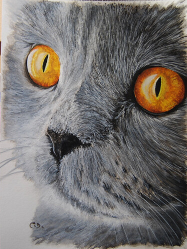 Painting titled "chartreux1.png" by Catherine Digue - Turpin, Original Artwork, Gouache