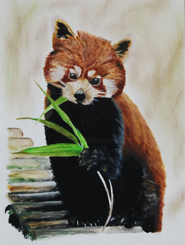 Schilderij getiteld "panda-roux.png" door Catherine Digue - Turpin, Origineel Kunstwerk, Gouache