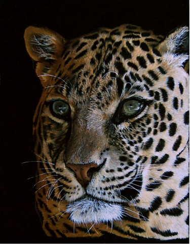 Peinture intitulée "leopard-aux-aguets1…" par Catherine Digue - Turpin, Œuvre d'art originale, Gouache