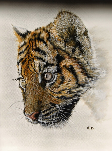 Schilderij getiteld "jeune-tigre1.jpg" door Catherine Digue - Turpin, Origineel Kunstwerk, Gouache