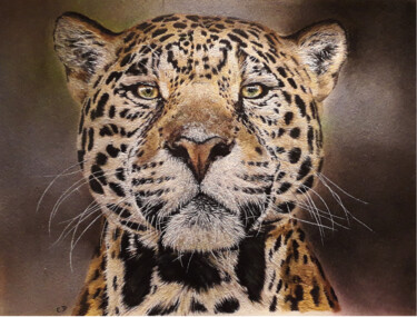 Painting titled "moi, jaguar d'Amazo…" by Catherine Digue - Turpin, Original Artwork, Gouache