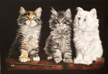 Peinture intitulée "trois petits chatons" par Catherine Digue - Turpin, Œuvre d'art originale, Gouache