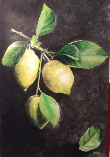 Painting titled "citrons" by Catherine Digue - Turpin, Original Artwork, Gouache