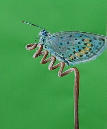 Peinture intitulée "le-papillon-de-mari…" par Catherine Digue - Turpin, Œuvre d'art originale, Gouache