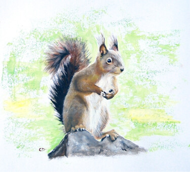 Peinture intitulée "écureuil curieux.jpg" par Catherine Digue - Turpin, Œuvre d'art originale, Gouache