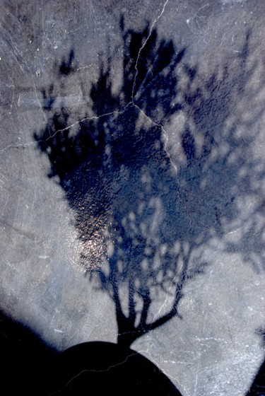 Photographie intitulée "ombre" par Catherine Gendron, Œuvre d'art originale