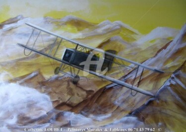 Картина под названием "Survol Sierra Nevada" - Catherine Indiana Loubet, Подлинное произведение искусства, Масло