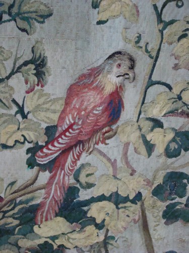 Φωτογραφία με τίτλο "Parrot" από Andromaque, Αυθεντικά έργα τέχνης, Ψηφιακή φωτογραφία