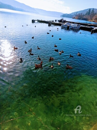 Photography titled "La Mare aux Canards" by Catherine Oliver (Miss kat), Original Artwork, Digital Photography