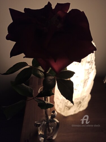 Photographie intitulée "La Rose Noire" par Catherine Oliver (Miss kat), Œuvre d'art originale, Photographie numérique