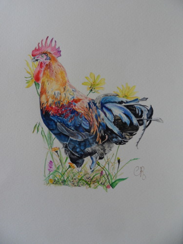 Peinture intitulée "aquarelle de coq" par Catherine Reybard, Œuvre d'art originale, Aquarelle