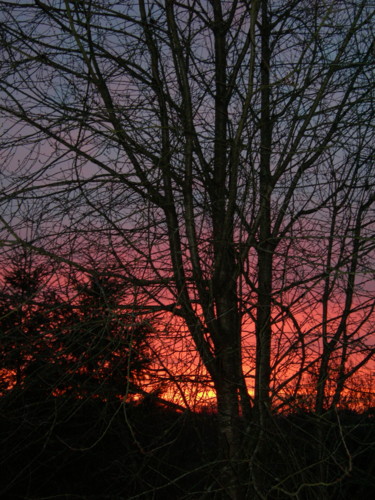 Photographie intitulée "soleil couchant au…" par Catherine Reybard, Œuvre d'art originale