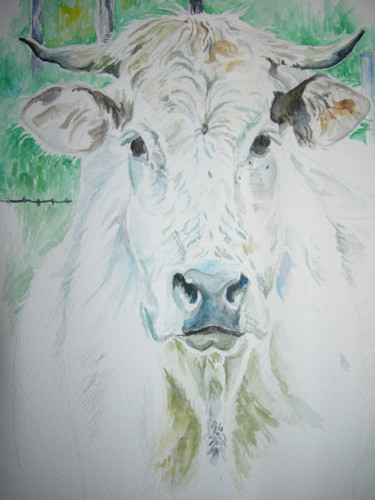Painting titled "vache charollaise" by Catherine Reybard, Original Artwork