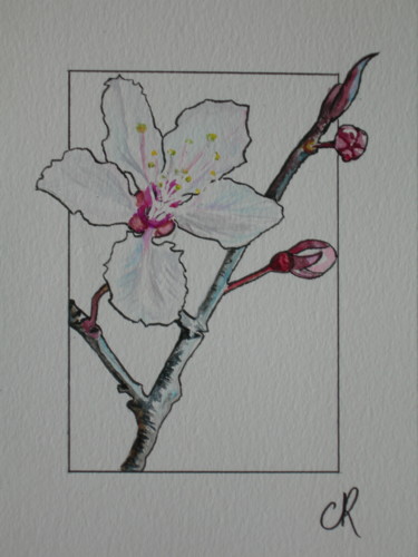 Painting titled "branche de cerisier…" by Catherine Reybard, Original Artwork, Watercolor