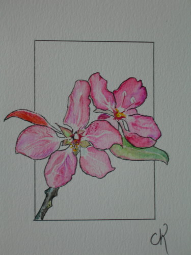 Painting titled "aquarelle, fleurs d…" by Catherine Reybard, Original Artwork, Watercolor