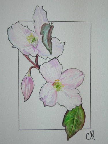 Painting titled "aquarelle, fleurs d…" by Catherine Reybard, Original Artwork, Watercolor