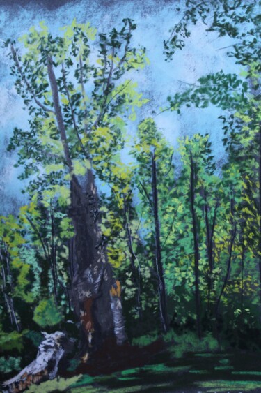 Dessin intitulée "Forêt de Compiègne" par Catherine Souet Bottiau, Œuvre d'art originale, Pastel