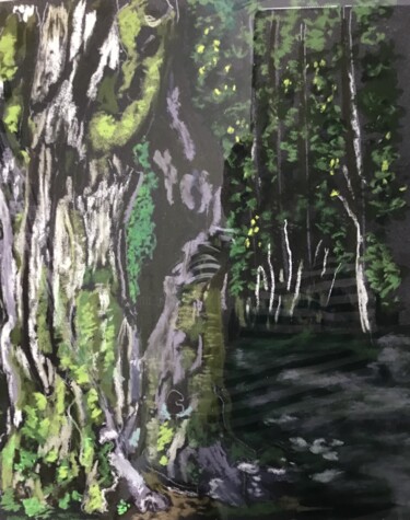 Dessin intitulée "Tronc de vieux chêne" par Catherine Souet Bottiau, Œuvre d'art originale, Pastel