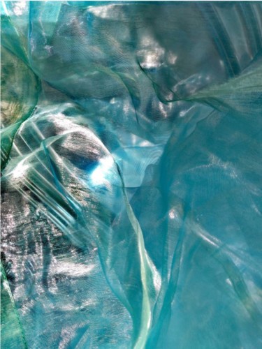 Photographie intitulée "Vison 1" par Catherine Vasseur, Œuvre d'art originale, Photographie numérique
