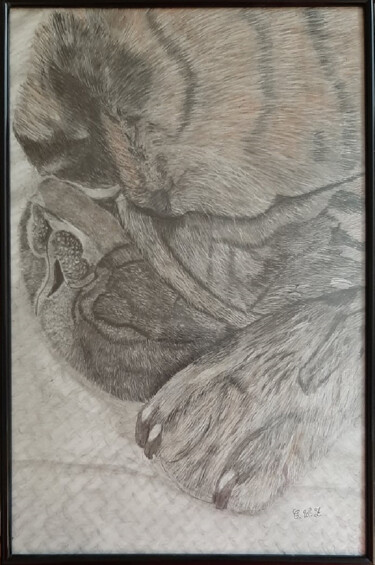 Drawing titled "Ruby qui dort" by Catherine Willaumez, Original Artwork, Pencil