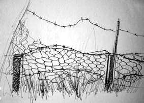 Drawing titled "Fence" by Catherine Dunn, Original Artwork