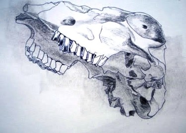 Drawing titled "Sheep Skull 6" by Catherine Dunn, Original Artwork