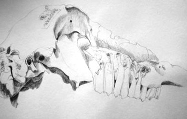 Drawing titled "Skull 1" by Catherine Dunn, Original Artwork
