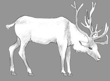 Drawing titled "Deer" by Catherine Dunn, Original Artwork