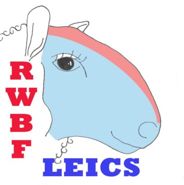 Drawing titled "Team RWBF Leics" by Catherine Dunn, Original Artwork, Other