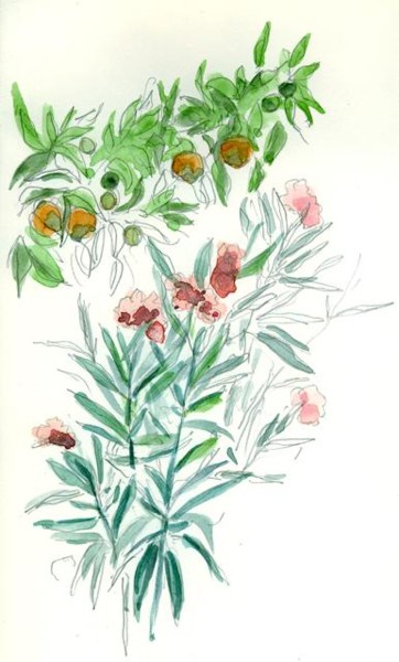 Painting titled "laurel y naranjas G…" by Catherine Rossi, Original Artwork