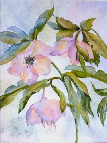 Peinture intitulée "ellébores, fleurs d…" par Catherine Vanel, Œuvre d'art originale, Aquarelle