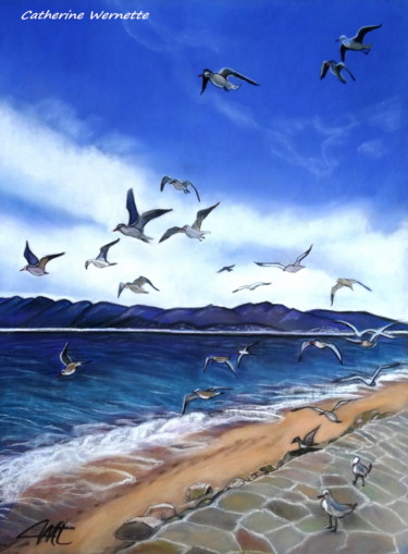 Painting titled "MOUETTES" by Catherine Wernette, Original Artwork, Pastel